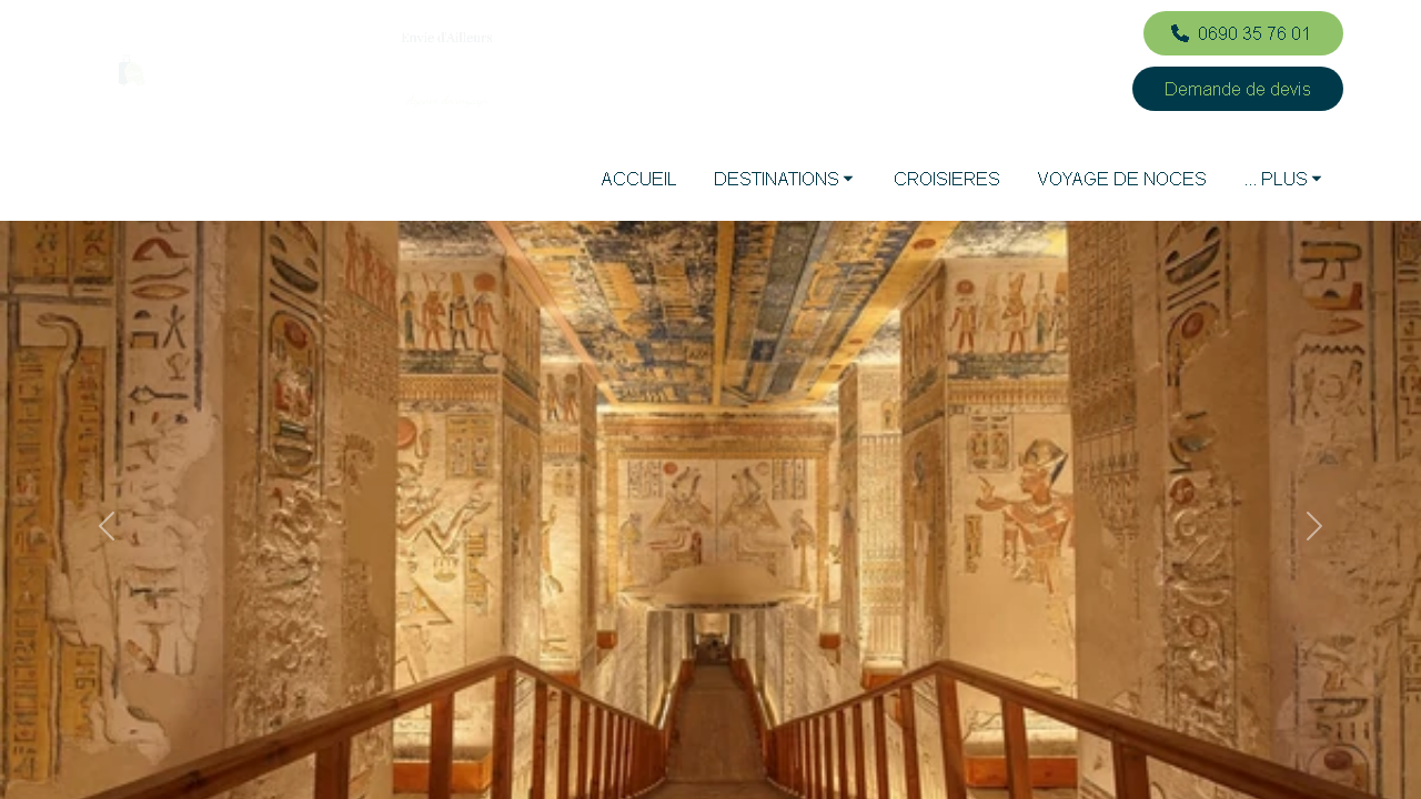 Capture d'écran de https://www.enviedailleurs.net/